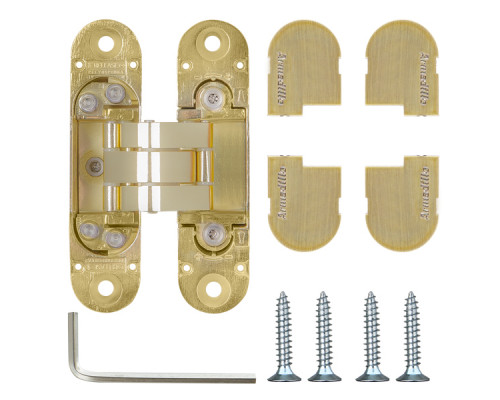 Петля Armadillo (Армадилло) скрытой установки U3D4000 SG (9540UN3D) мат. золото